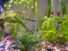 06-07-06 073.jpg